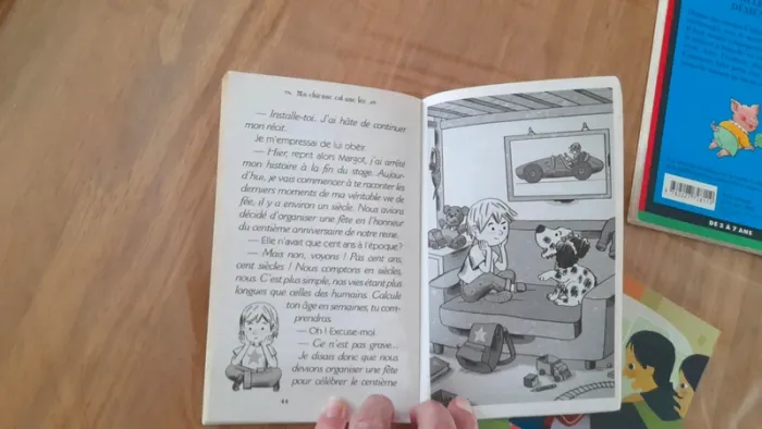 Lot 3 livres jeunesse - photo numéro 4