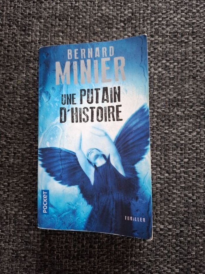 Thriller de Bernard Minier Une putain d'histoire en bon état