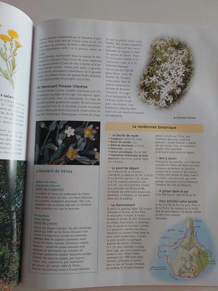 Balades dans la France des fleurs - photo numéro 4