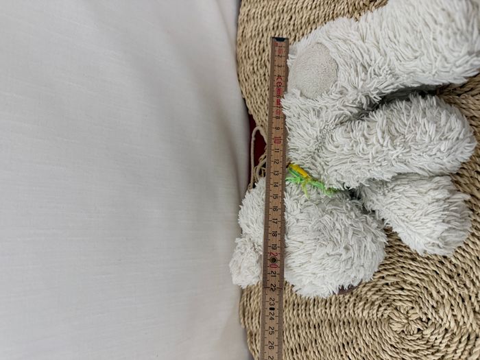 Teddykompaniet Chien Teddy Crème Beige - photo numéro 4