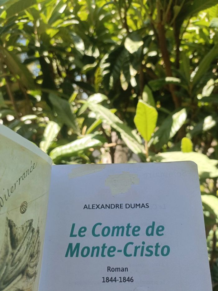 Livre le Comte de Monte-Cristo de Dumas. - photo numéro 6