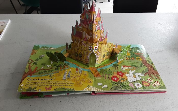 Livre fées et princesses