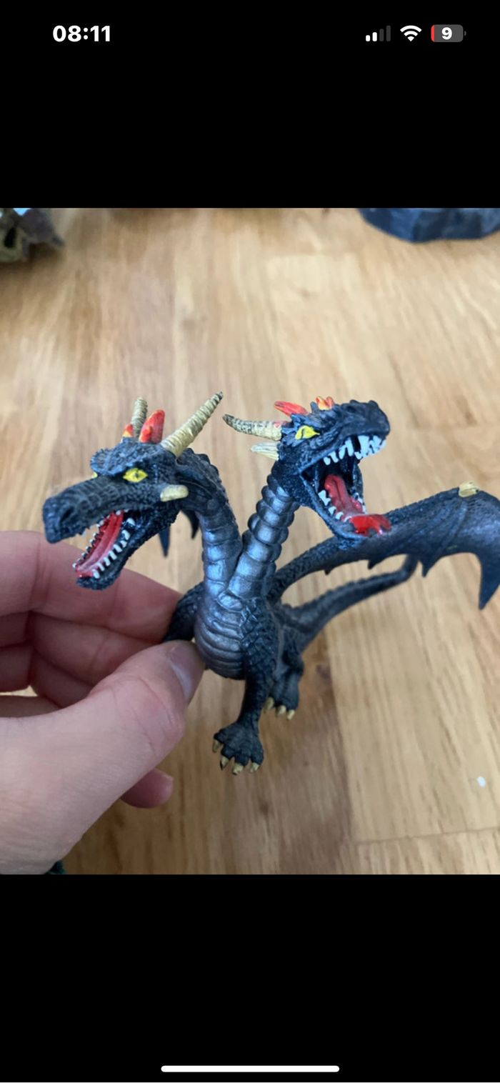 Dragon - photo numéro 3