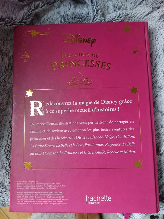 Histoires de princesse disney - photo numéro 2