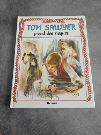 Livre ancien jeunesse "Tow Saywer prend des risques" - Edition Hemma