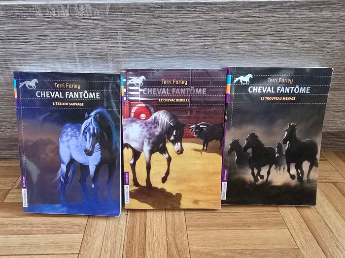 Livre "Cheval fantôme"