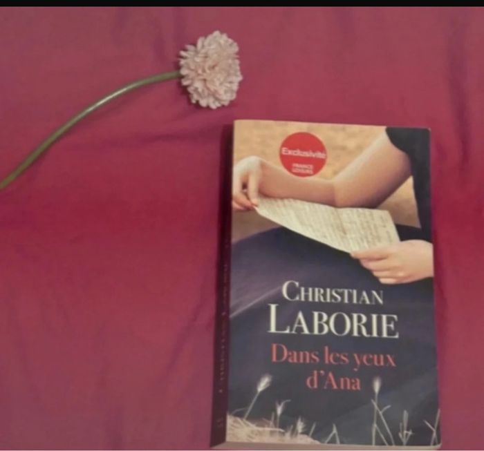 Dans les yeux d’Ana - photo numéro 2