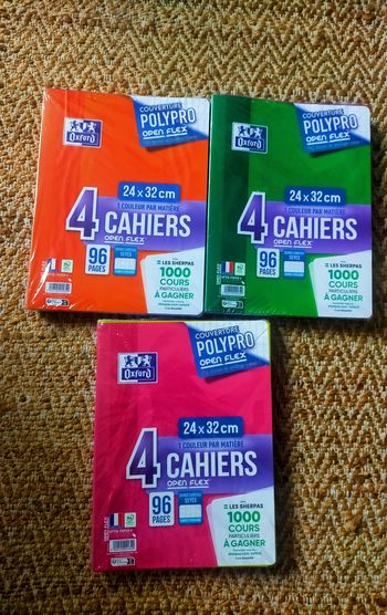 Lot 12 cahiers 96 pages Oxford 24x32 cm