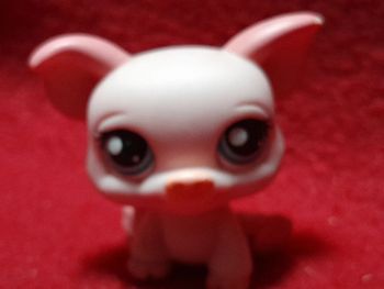 Figurine Petshop A16