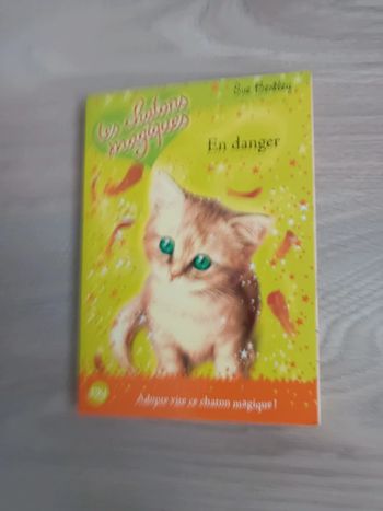 Livre les chatons magiques en état Satisfaisant tome 5