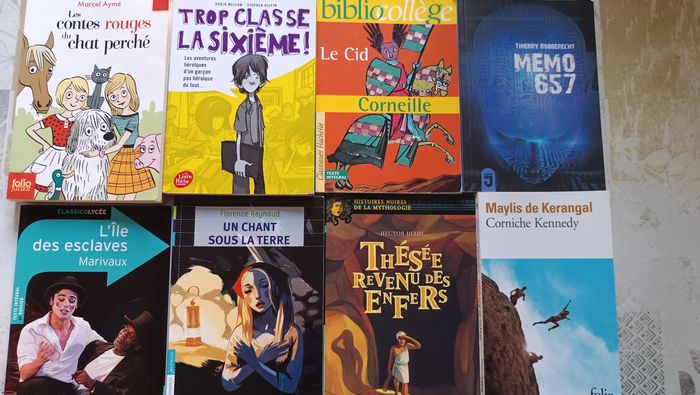 Livre collège lycee