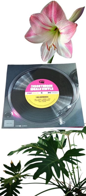 Discothèque Idéale Vinyle Pop Rock 2021