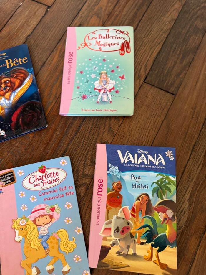 Lot 6 livres bibliothèque rose - photo numéro 4