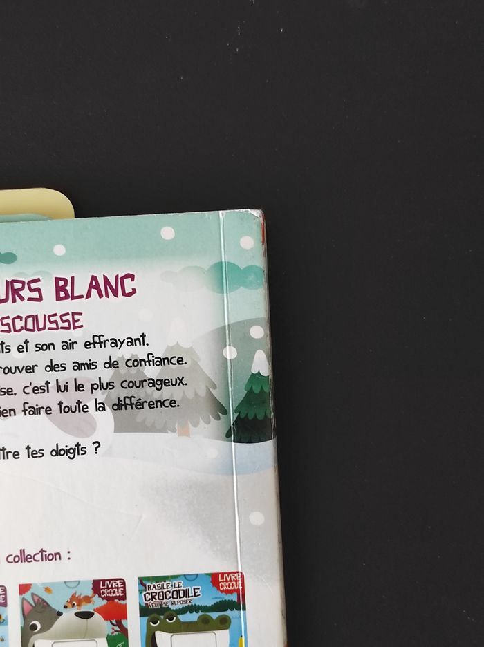 đ» Livre "Alban l'ours blanc Ă la rescousse" â Bon Ă©tat - photo numĂ©ro 4