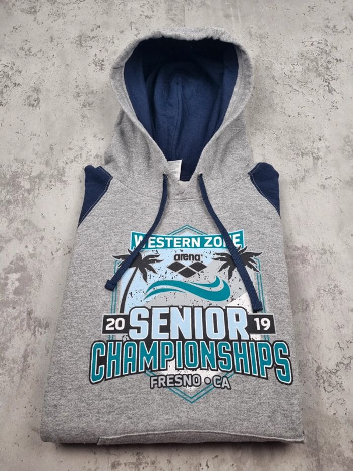 Pull à capuche universitaire Arena 2019 – Taille S Hommes - photo numéro 2