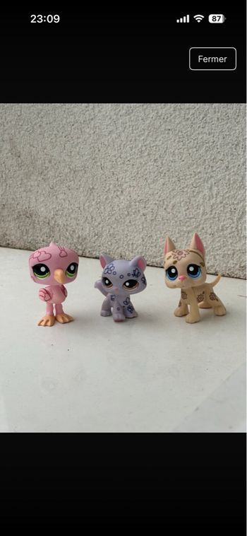 Lot pethsop deco pet