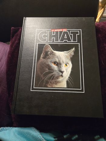 Le monde du chat n °7