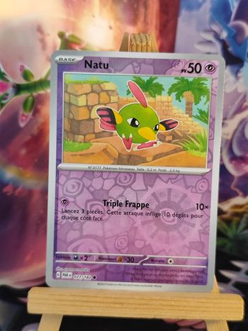 Natu reverse 71/182 faille paradoxe