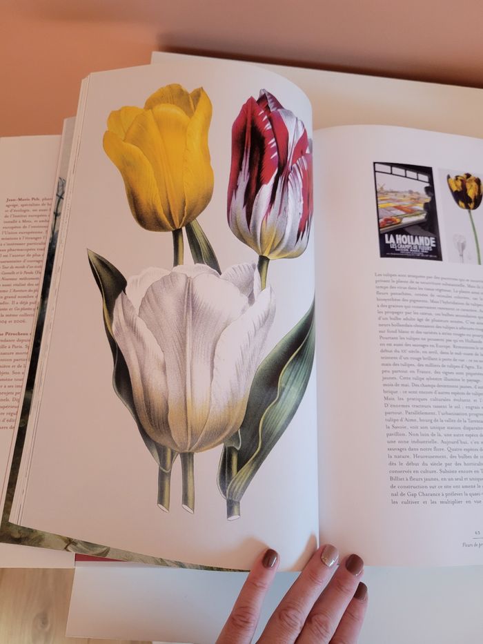 Livre sur les fleurs - photo numéro 2
