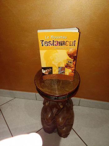 Livre Le nouveau Testament