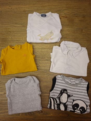 Lot de 5 bodys bébé 6 mois