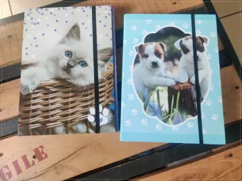 Lot de 2 chemises de classement chat et chien