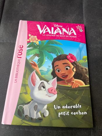 Livre bibliothèque rose vaiana tome 7