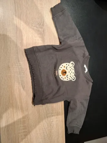 Pull petit ours