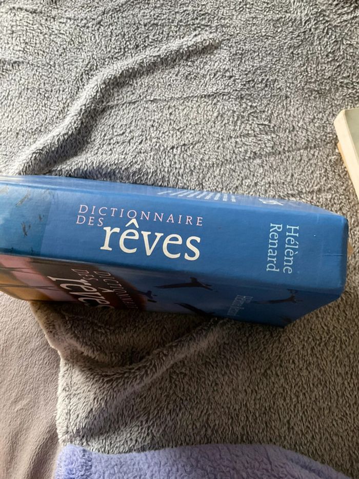 #dictionnaire des rêves Hélène Renard - photo numéro 4