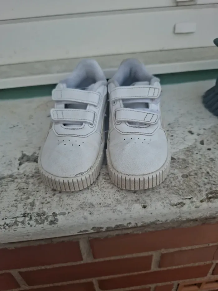 Puma taille 24