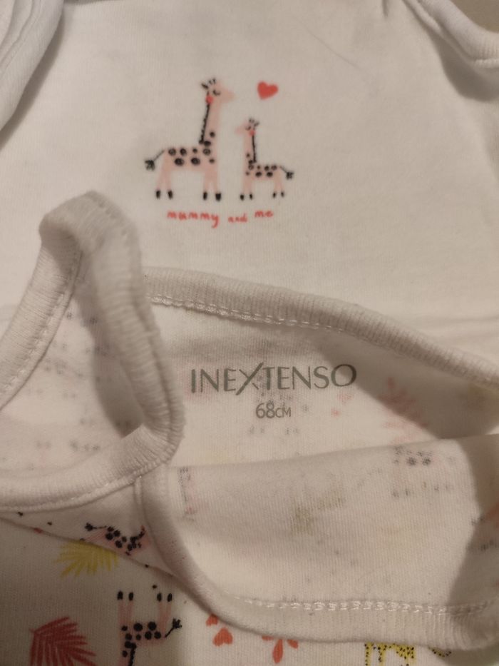 Lot bodies - photo numéro 2