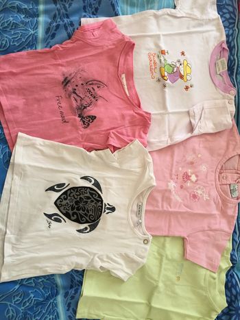 lot 5 tee shirts manche courte 2 ans