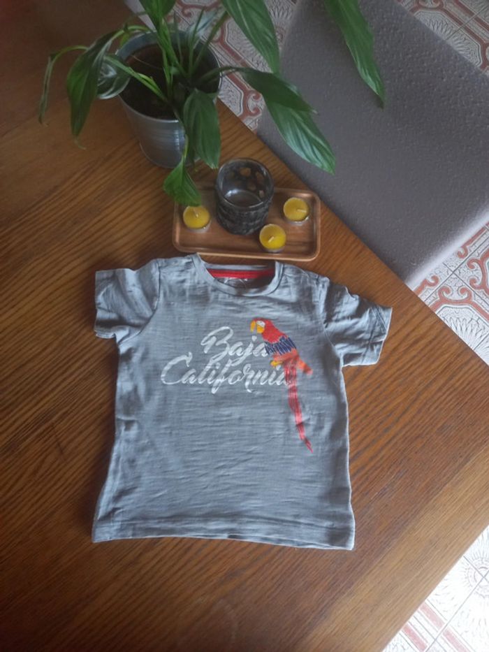T-shirt perroquet 98