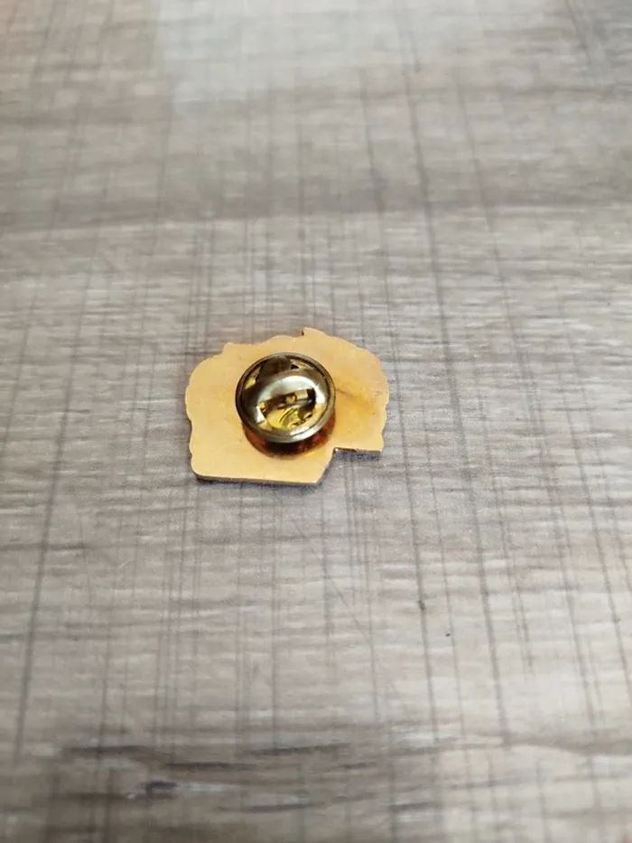 Pins saint Michel des perrais - photo numéro 2