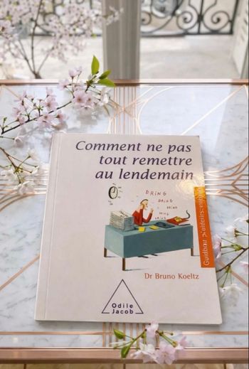 📚 ✨ Livre : Comment ne pas tout remettre au lendemain ✨📚
