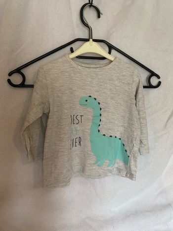 Manche longue dinosaure
