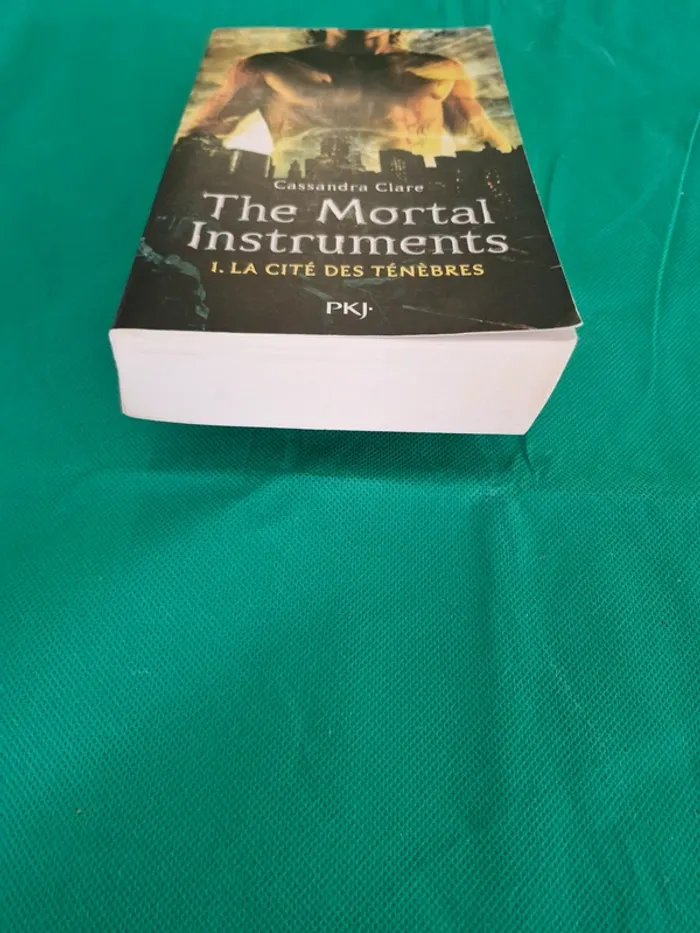 The Mortal Instruments tome 1 La Cité des Ténèbres Cassandra Clare - photo numéro 2