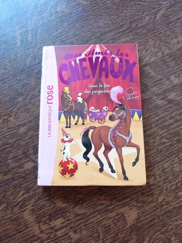 Mes amis les chevaux 9