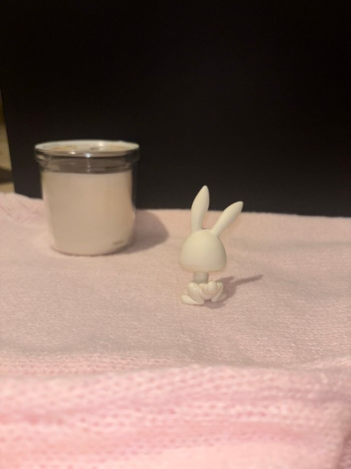 lapin #3 - photo numéro 3