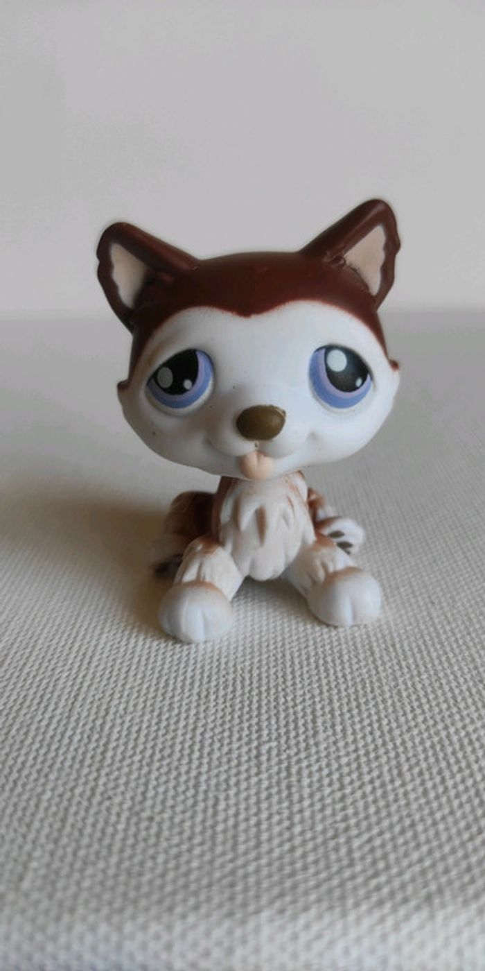 My littlest petshop chien lps husky 427 - photo numéro 2