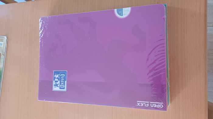 cahier A4 - photo numéro 2