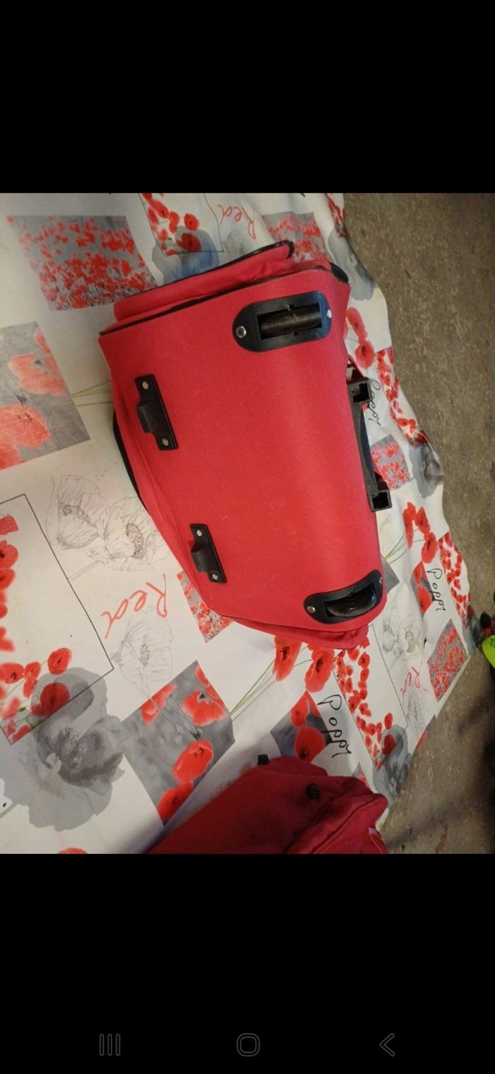 Valise d'animaux - photo numéro 6