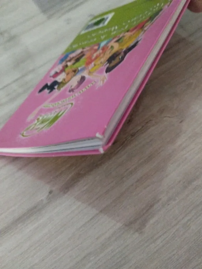 Winx Les aventures magiques tome 1 - photo numéro 4