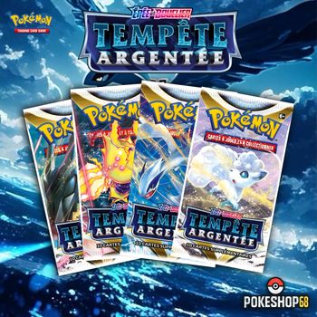 🎨 Art Set EB12 – Tempête Argentée