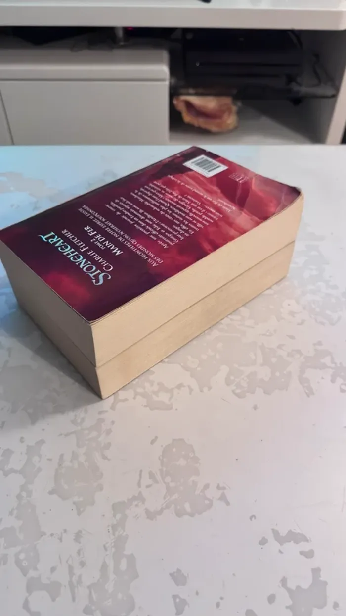 📚 Lot de 2 livres – Stoneheart (Tome 1 & Tome 2 : Main de Fer)  Charlie Fletcher – Éditions Hachette - photo numéro 5