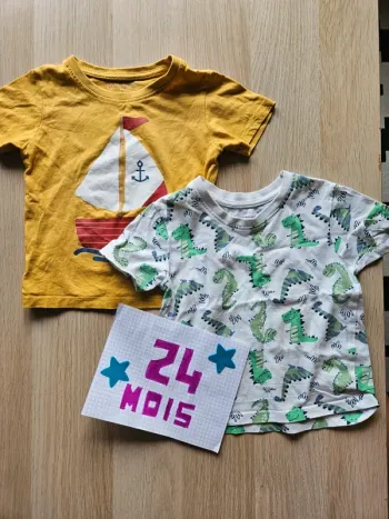 Lot 2 tee-shirt 24mois