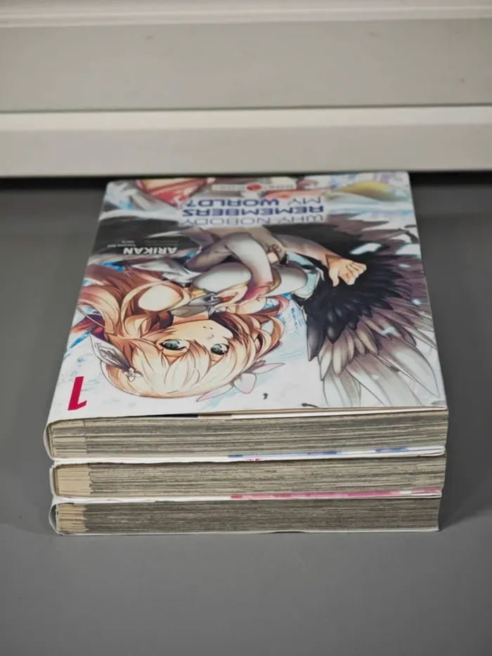 Lot Manga Why Nobody Remembers my World ? 1 à 3 VF - photo numéro 6