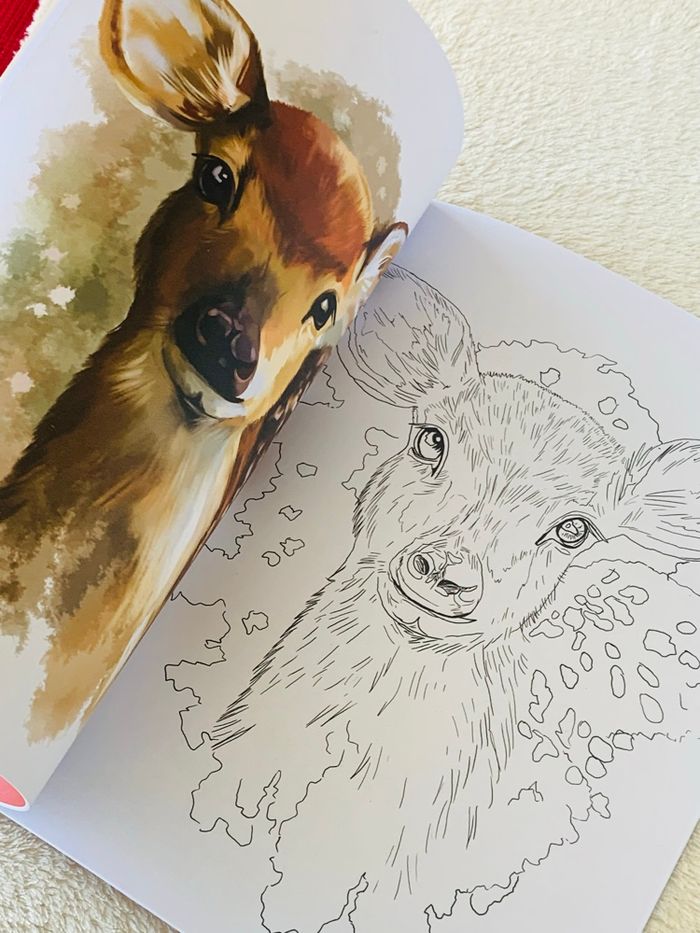 Cahier de coloriage de animaux Craft Universe - photo numéro 6