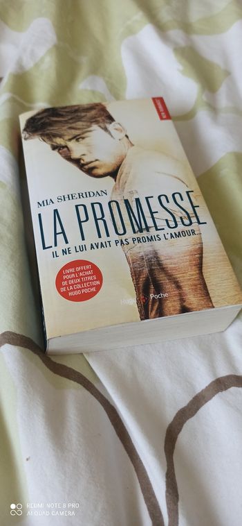 Livre la promesse