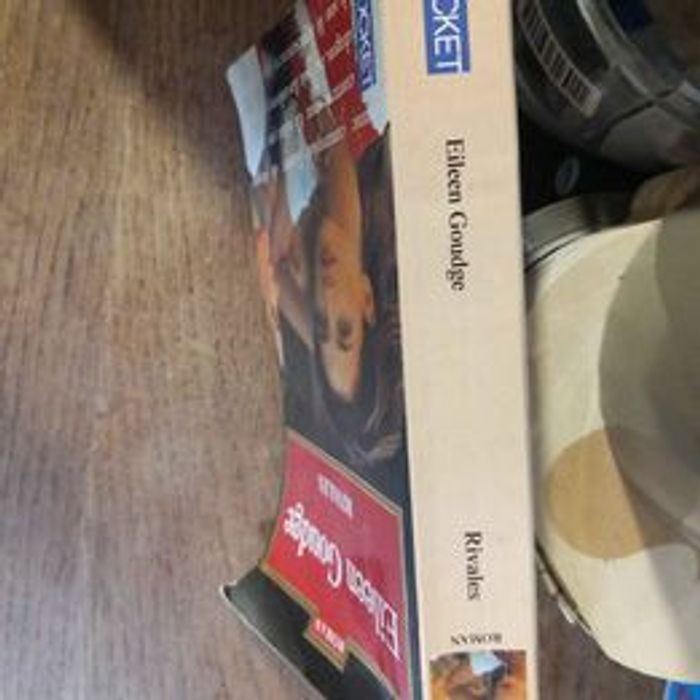 Rivales de Eileen Goudge - photo numéro 2